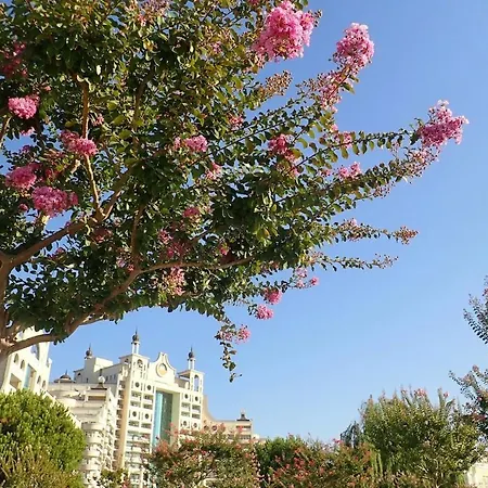 Private Penthouse With Seaview At Sunset Apartment Pomorie
